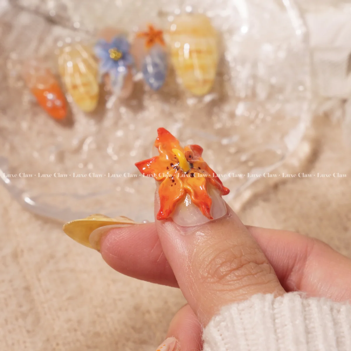 Ozeanisches Vergnügen – Bild 7